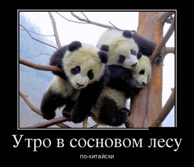 demotivatory_na_chetverg_30_foto_7.jpg