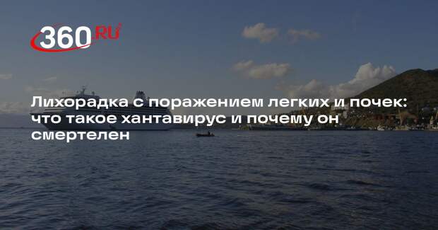 Эпидемиолог Покровский: хантавирус проявляется ярко, его легко диагностировать