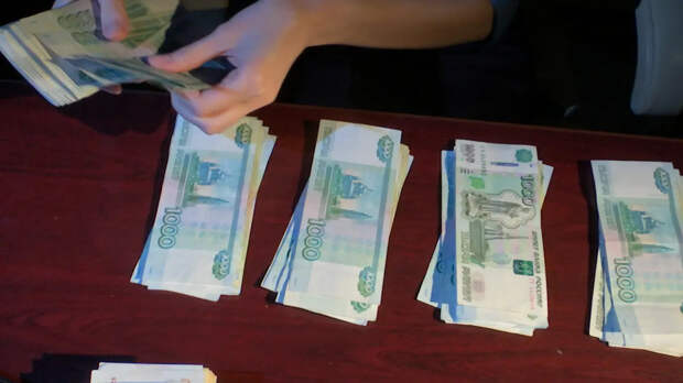 «Котономика» Таиланда: как индустрия кошек выросла до $12 млрд и стала национальным приоритетом