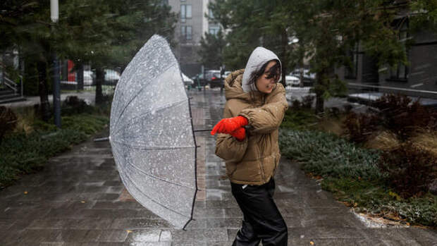 После метелей и ледяного дождя: синоптик Ильин назвал точную дату потепления в Москве