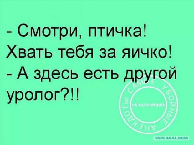 Неадекватный юмор из социальных сетей. Подборка chert-poberi-umor-chert-poberi-umor-29300421092020-11 картинка chert-poberi-umor-29300421092020-11