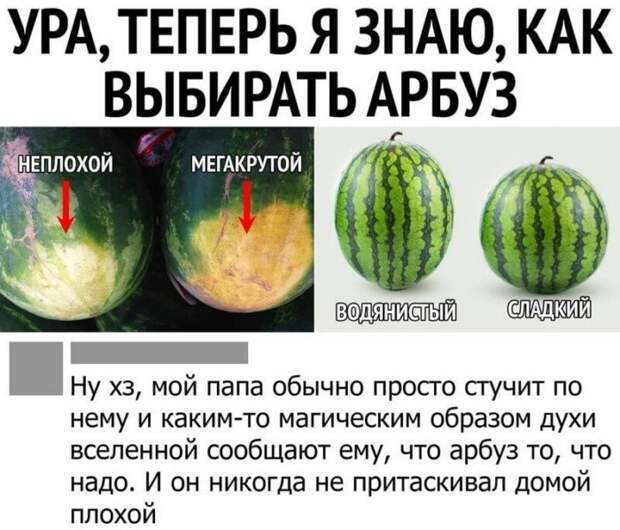 20+ жизненных хитростей и шпаргалок от пользователей Сети 20+ жизненных хитростей и шпаргалок от пользователей Сети