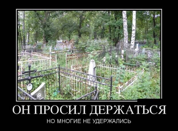Демотиваторы (30 фото)