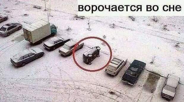 24 самые смешные картинки декабря и книга жалоб на мир