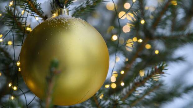 Психолог раскрыла, как не переругаться с семьёй во время подготовки к празднику