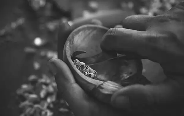 Красивые деревянные ложки Джайлса Ньюмана