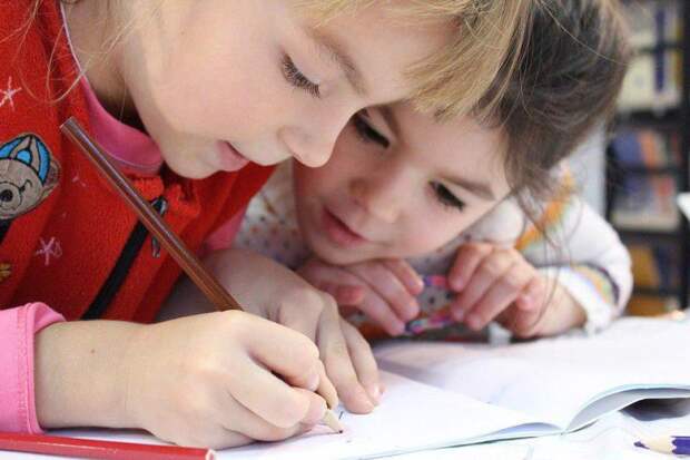 Дети, учеба. Фото: pixabay.com