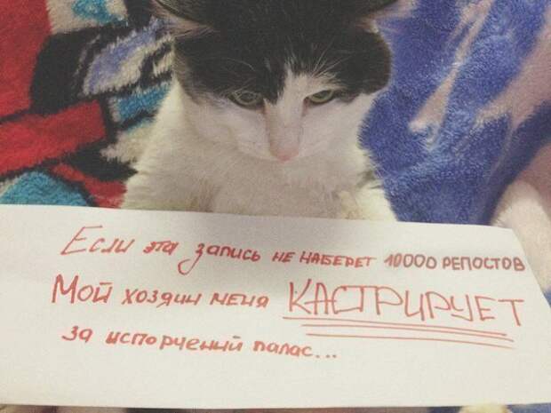 Всяко - разно 11 ))) Всяко - разно 11 )))