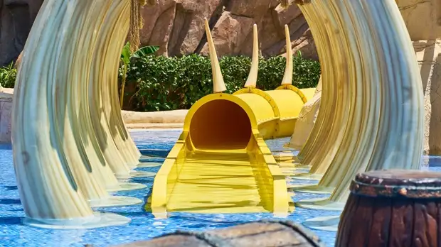 В Нижнем Новгороде могут открыть аквапарк к 800-летию города