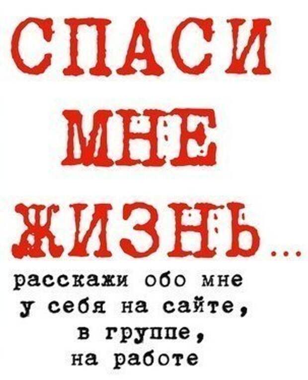 Помогите красивейшему малышу! Бывшедомашний котик эту зиму не переживёт...