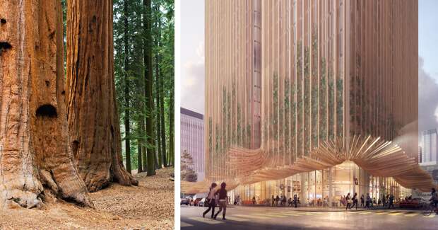 Футуристические шедевры Коичи Такада, японского архитектора, который ищет вдохновения в природе