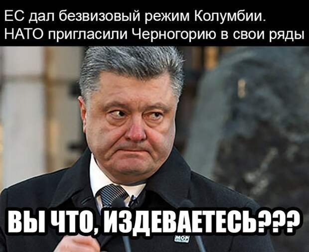 Потрясение для Киева: ЕС даст безвизовый режим России, но не Украине Потрясение для Киева: ЕС даст безвизовый режим России, но не Украине