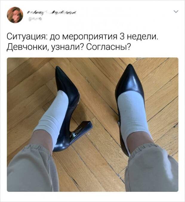 Подборка забавных твитов