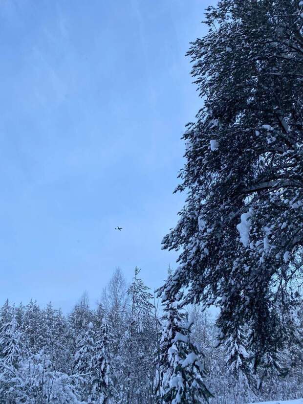 Несколько украинских дронов-камикадзе Ан-196 «Лютый» атаковали НПЗ