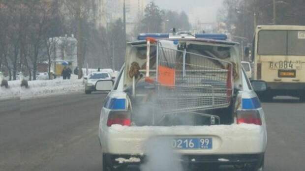 Зачем им тележка? дорога, прикол, фото, юмор