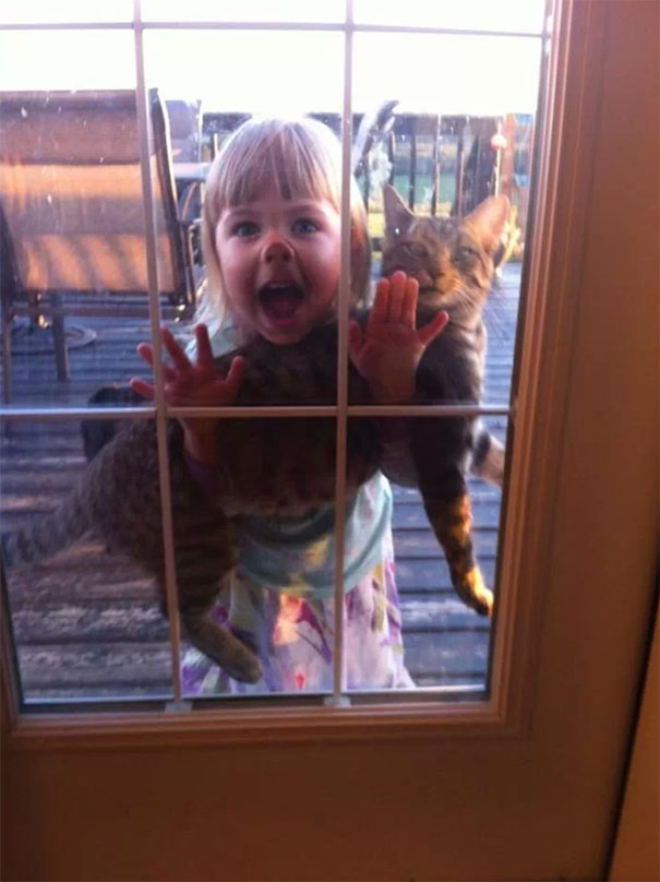 Cat's Face Says It All Cat