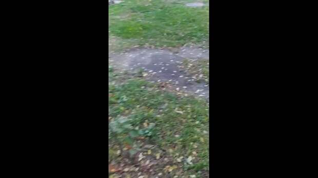 Video: Клип @donetskdnr_vk