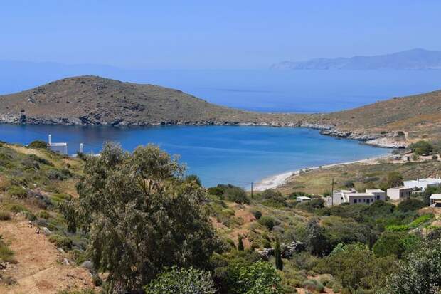 Кошачий приют на греческом острове ищет нового управляющего