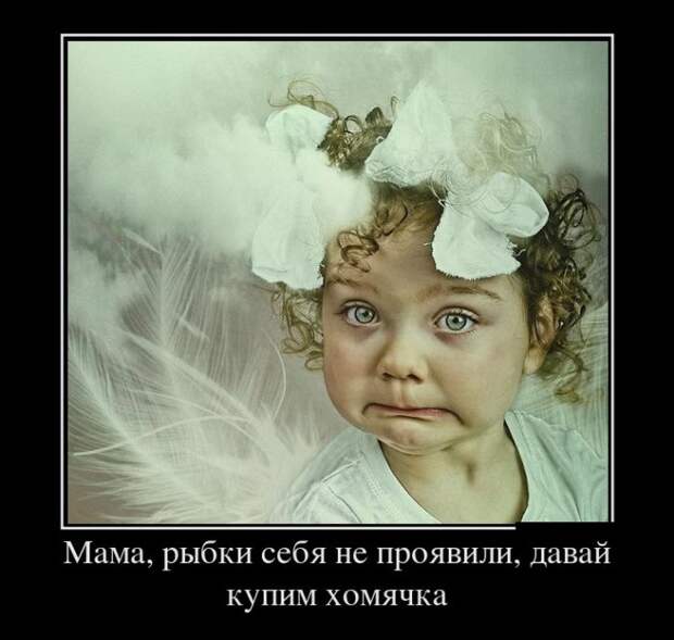 Демотиваторы (30 фото)