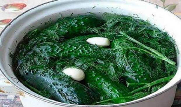 68865_520342_1501512841_adstfgzhujkl