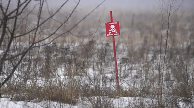 Журналист Семён Пегов посетил ДНР и узнал о том, как работают местные сапёры