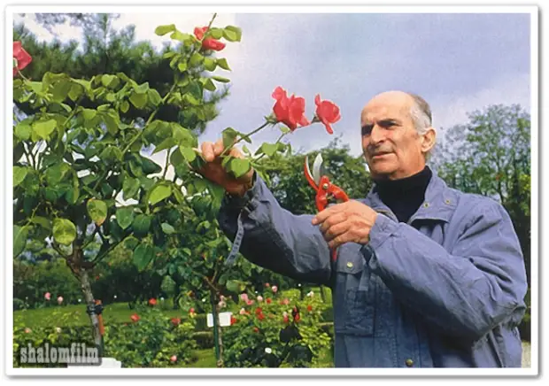 Кто вы, мсье Де Фюнес?