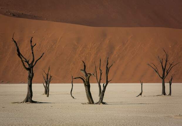 Sossusvlei09 Африка. Намибия. Пустыня Намиб   Соссусфлей