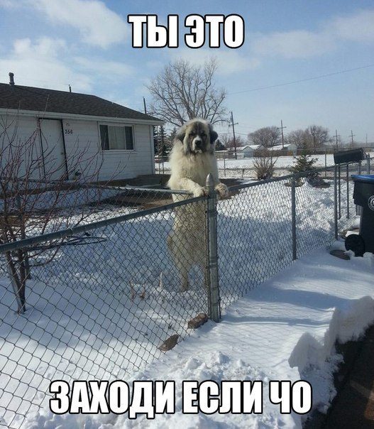 С приветами из России
