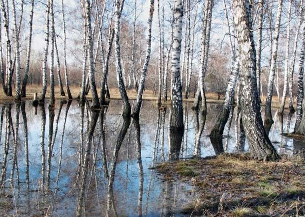 праздники и обряды, славянская русалка