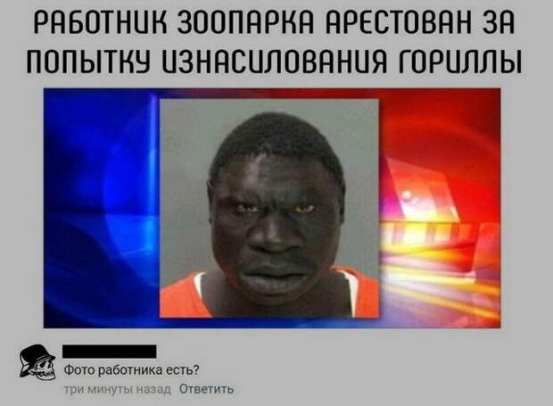 Прикольные цитаты и истории (50 картинок)