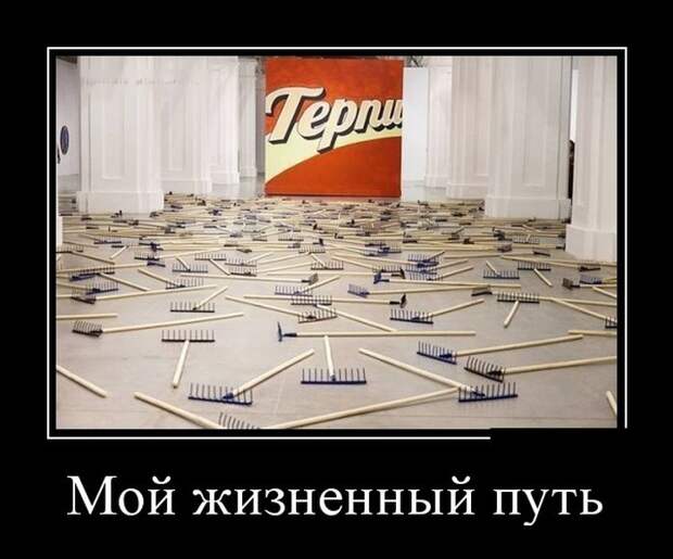 Демотиваторы (30 фото)