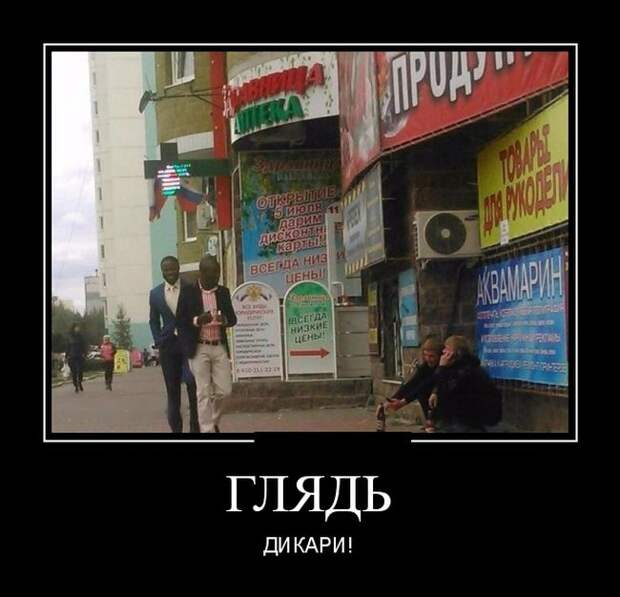 Демотиваторы (30 фото)