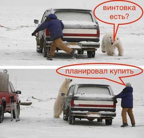 Картинки и фото с приколами (45 шт)