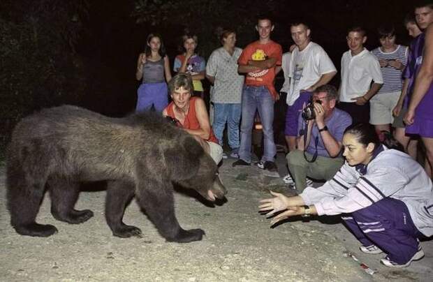 Забавные картинки и свежие фото приколы из сети (11 фото)