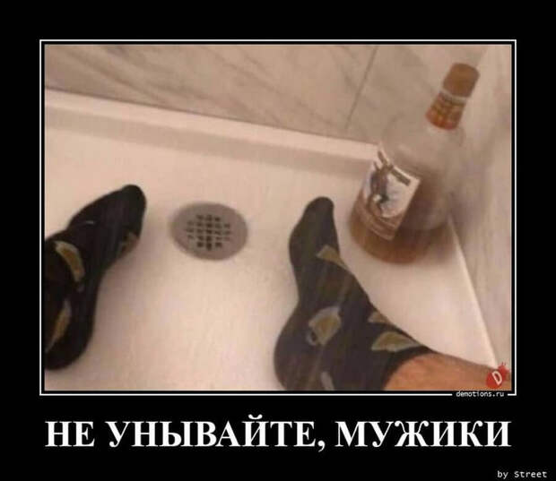 Пятничные демотиваторы: праздники, социум и живность
