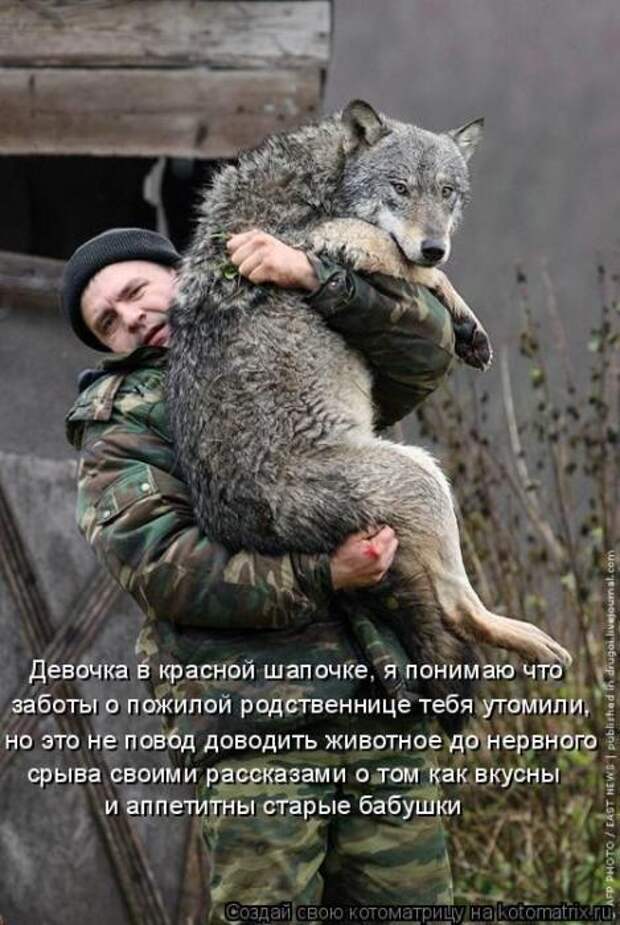 Котоматрицы (картинки с надписями)