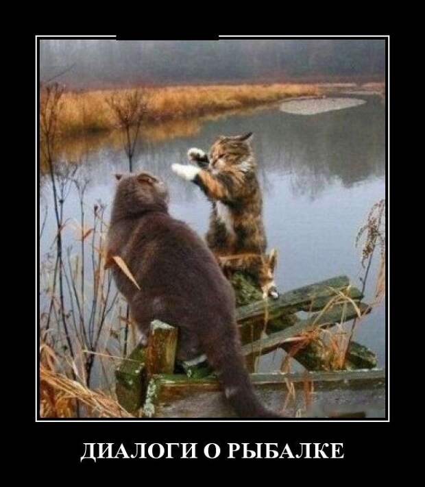 Демотиваторы (30 фото)