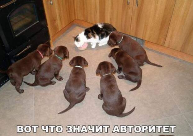 Смешные анекдоты-коротыши (9 шт)