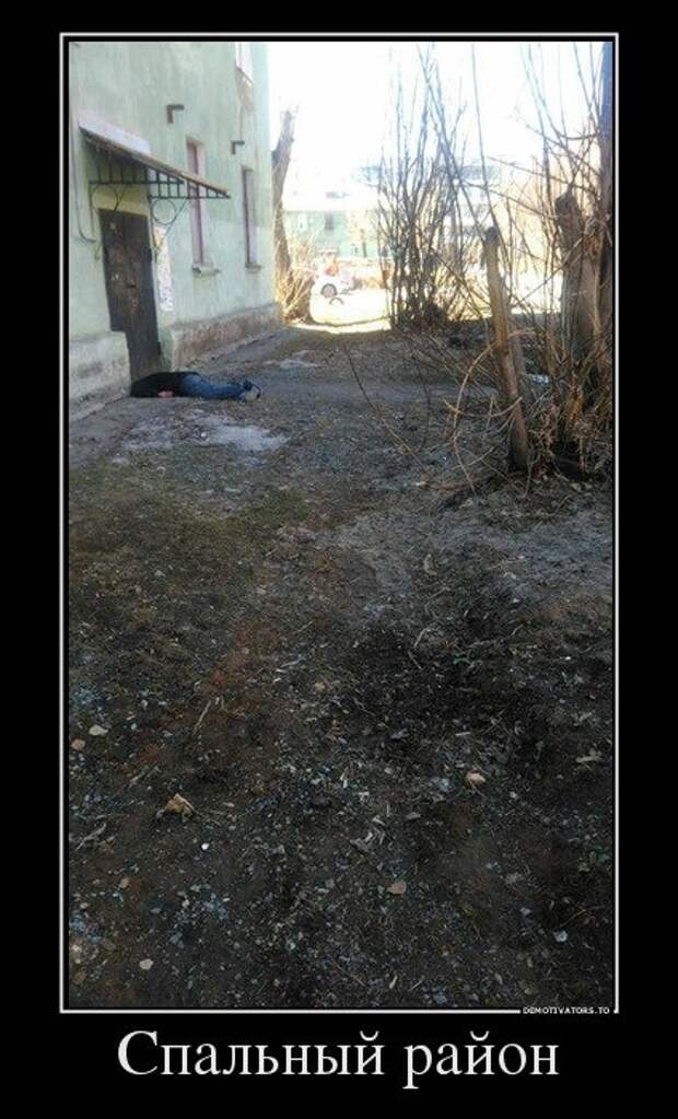 Демотиваторы-приколы