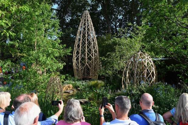 Цветочная выставка садов и цветов Chelsea Flower Show 2021