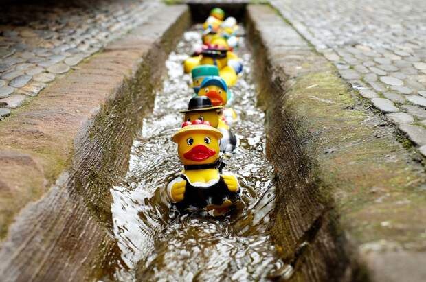 rubber-duck-1401225_1280