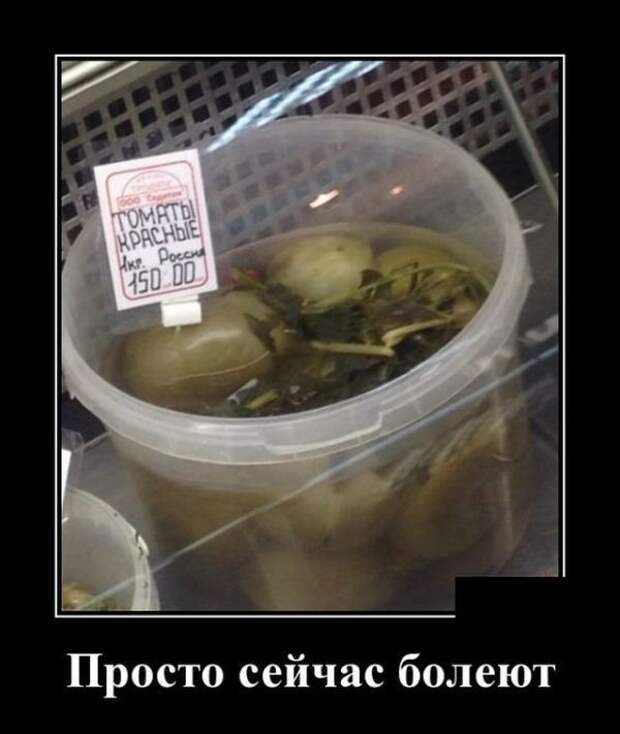 Демотиваторы (30 фото)