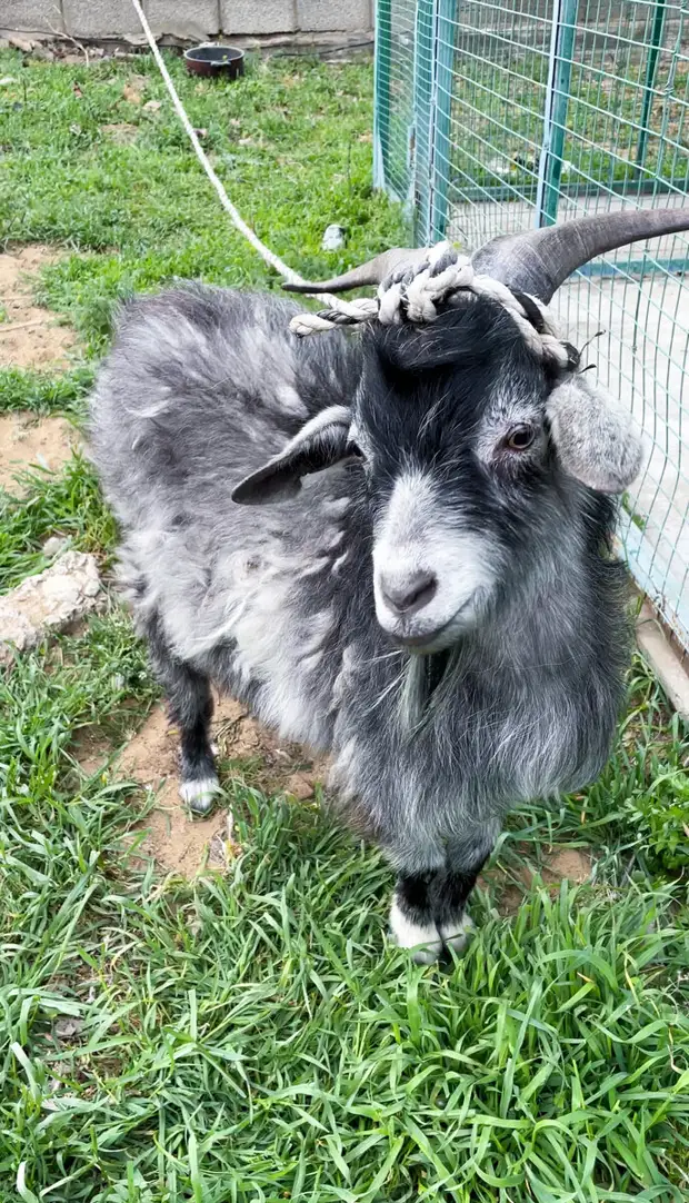 Как мы побывали в русской Сахаре. Бархан Сарыкум, Дагестан