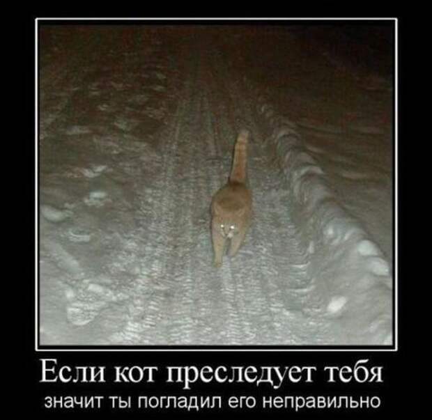 Демотиваторы и позитив