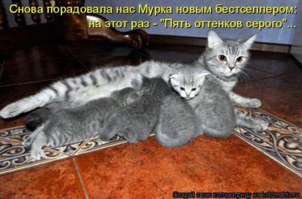 Котоматрицы(картинки с надписями)