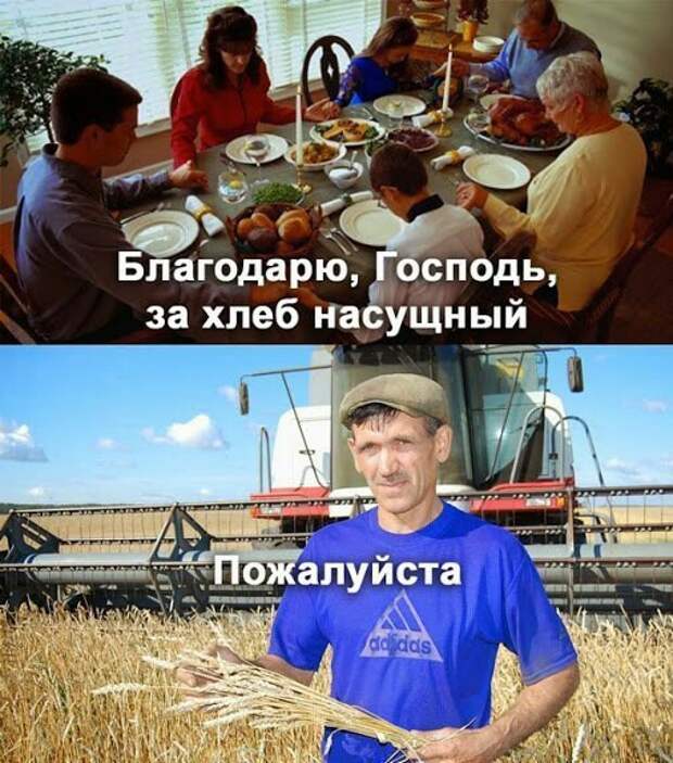 Смешные картинки с надписями Смешные картинки с надписями демотиваторы, прикол, юмор
