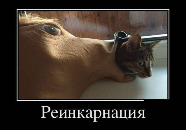 Демотиваторы на субботу (30 фото)