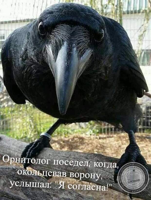 Я согласна