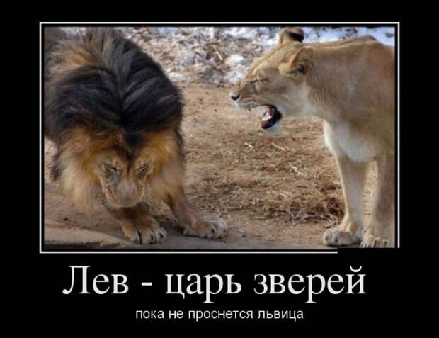 Демотиваторы (30 фото)