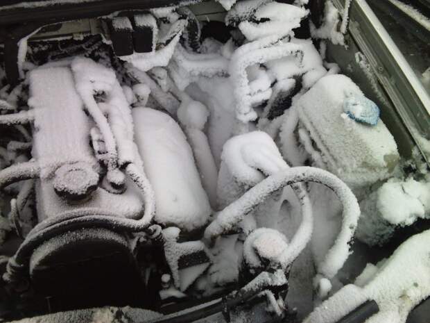 На Камчатке за ночь снегом завалило все автомобили зима, камчатка, снег, снегопад